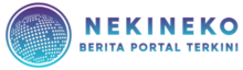 nekineko.com